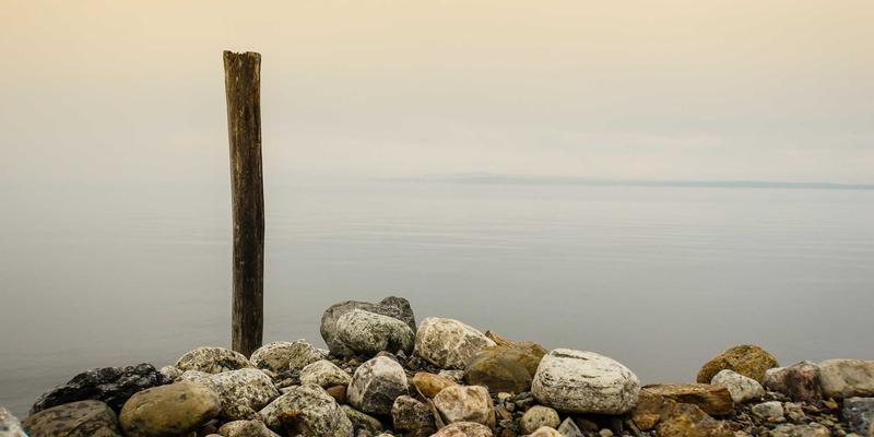 从零到一：漫画工作室商业化运营全攻略，打造高人气在线漫画的实战法则