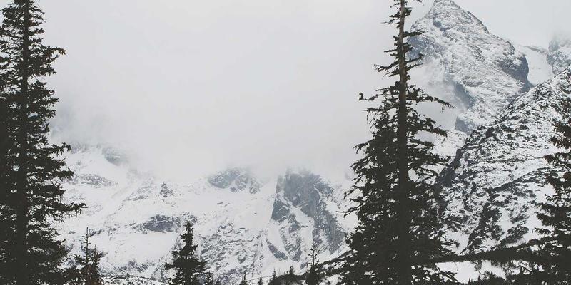 漫画中的文化密码：解码东西方象征手法的深层差异与阅读策略