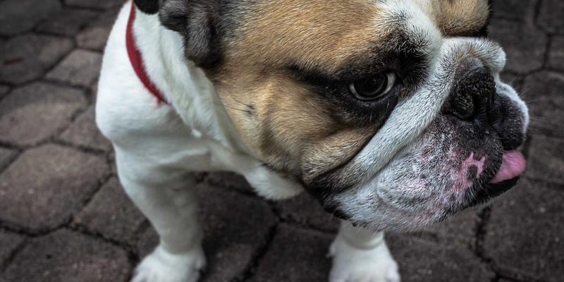 漫画色彩魔法：从《鬼灭之刃》到《海贼王》，如何用色彩操控你的情绪